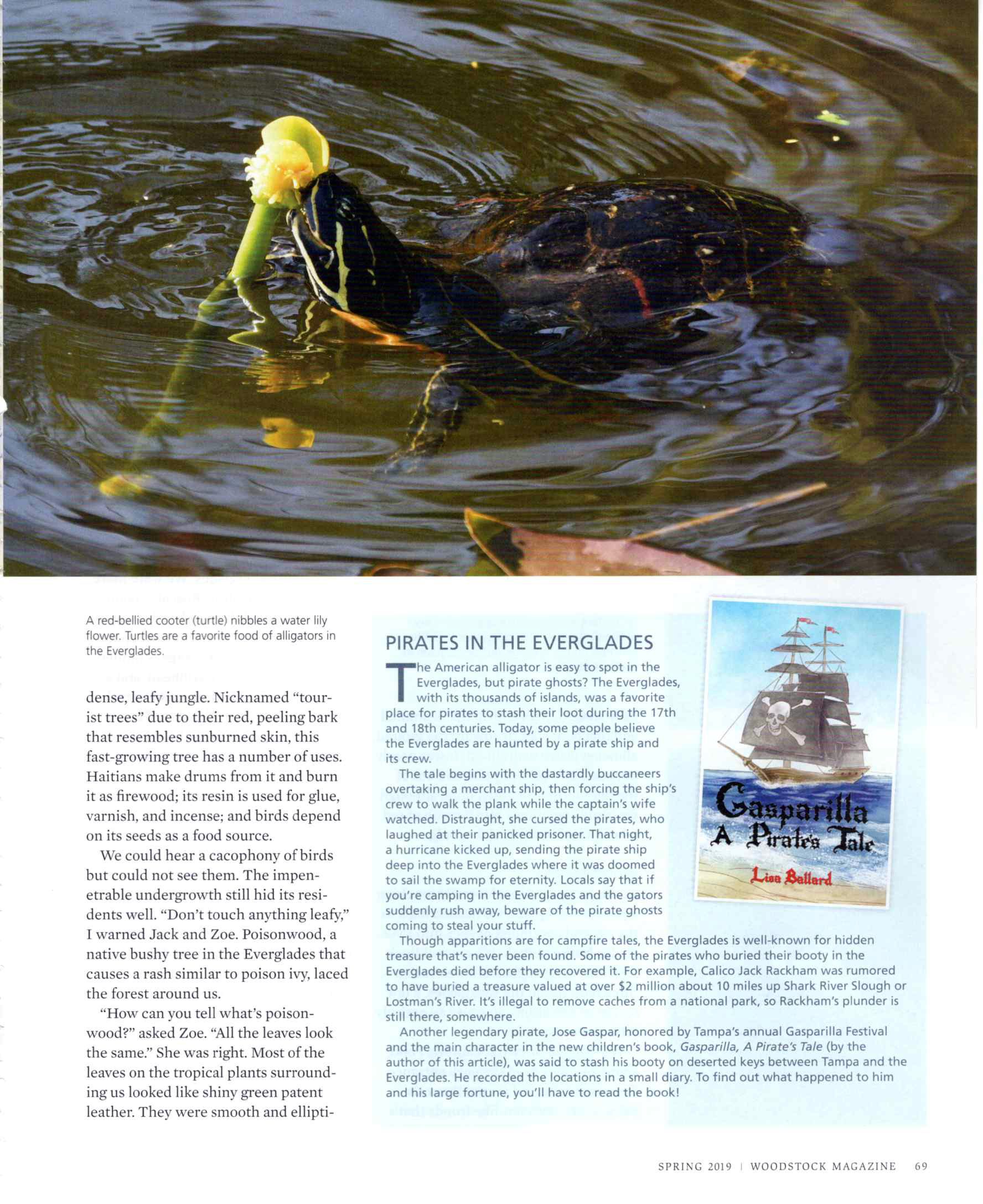 Gasparilla a Pirates Tale Lisa Ballard Article