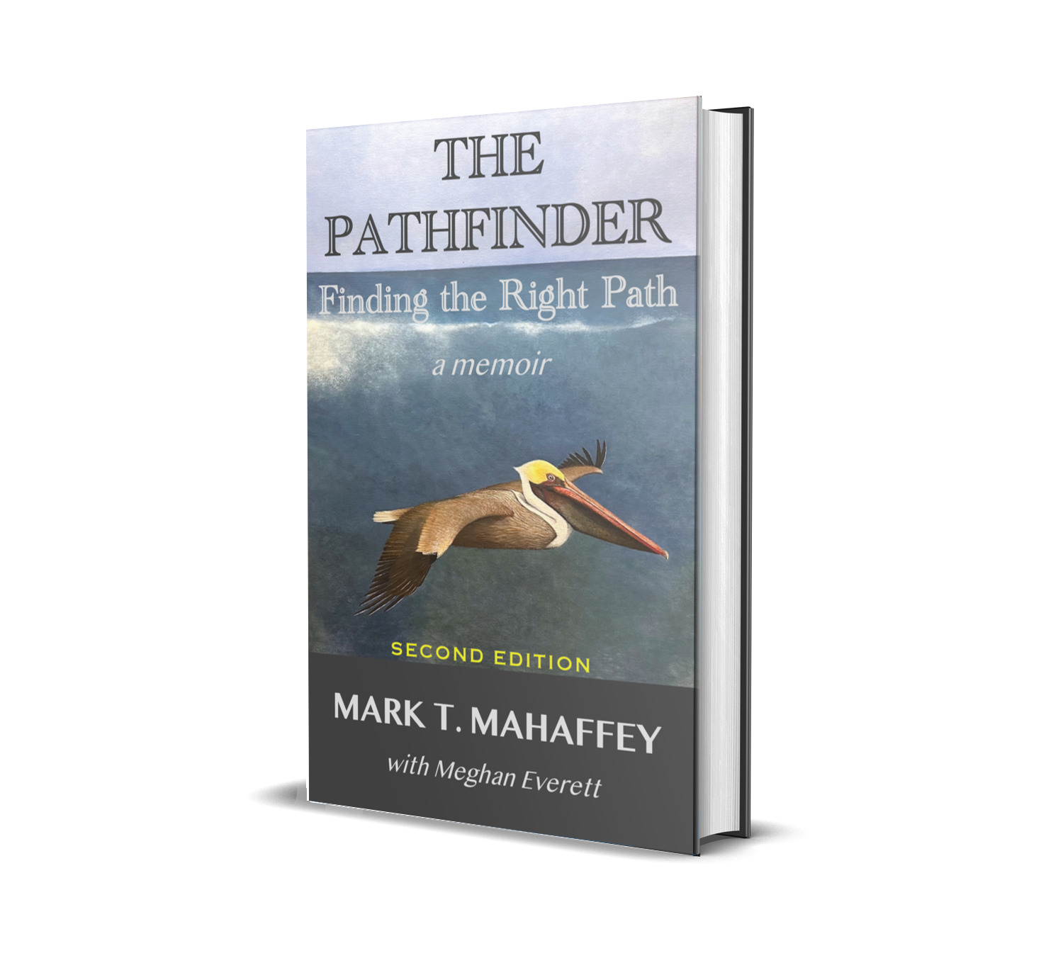 The Pathfinder by Mark Mahaffey